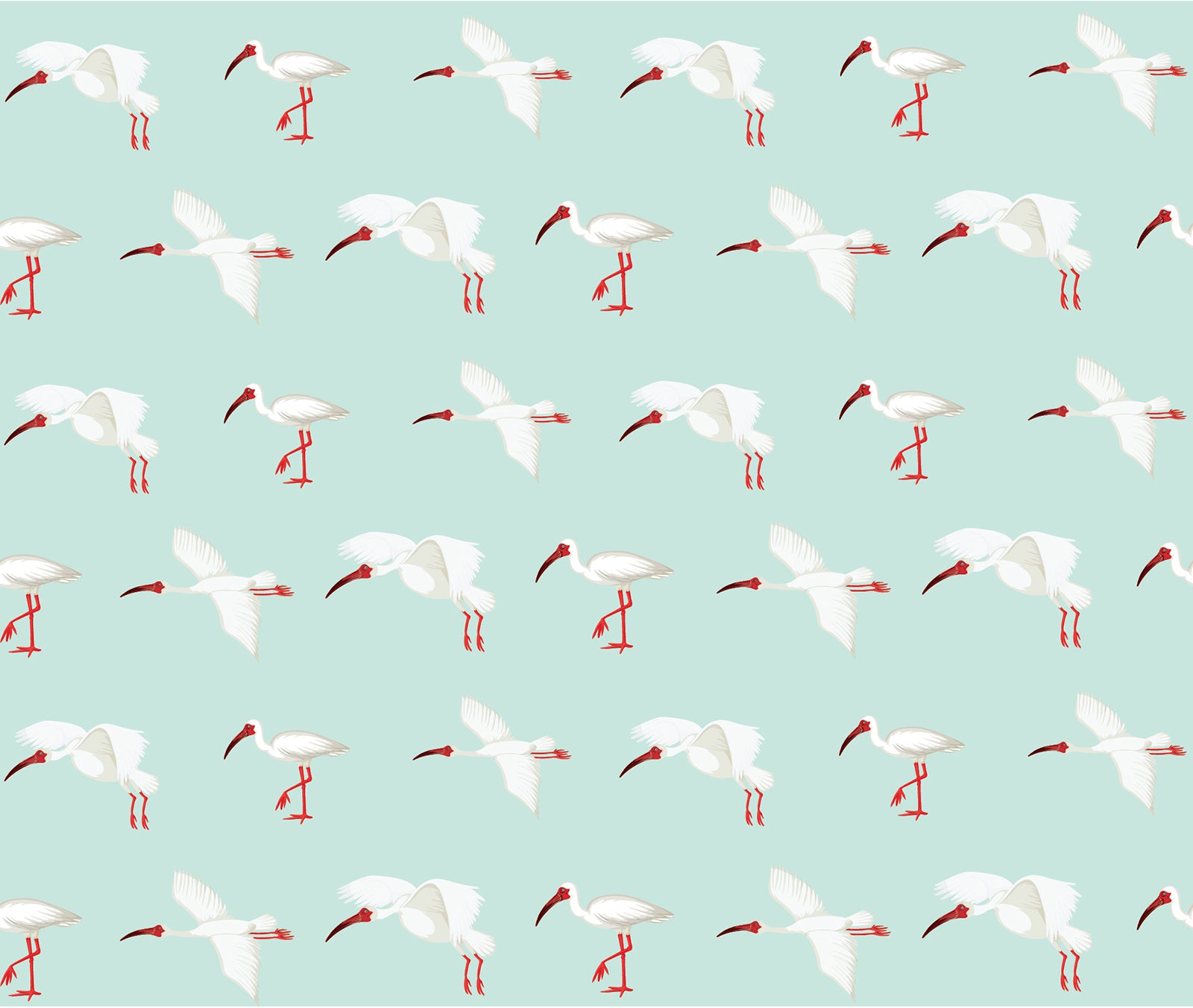white ibis print